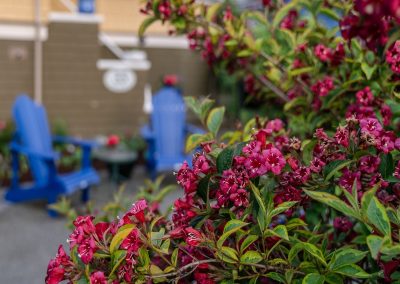 Exposed Aggregate & Paving Stone Border (Compass Rose)